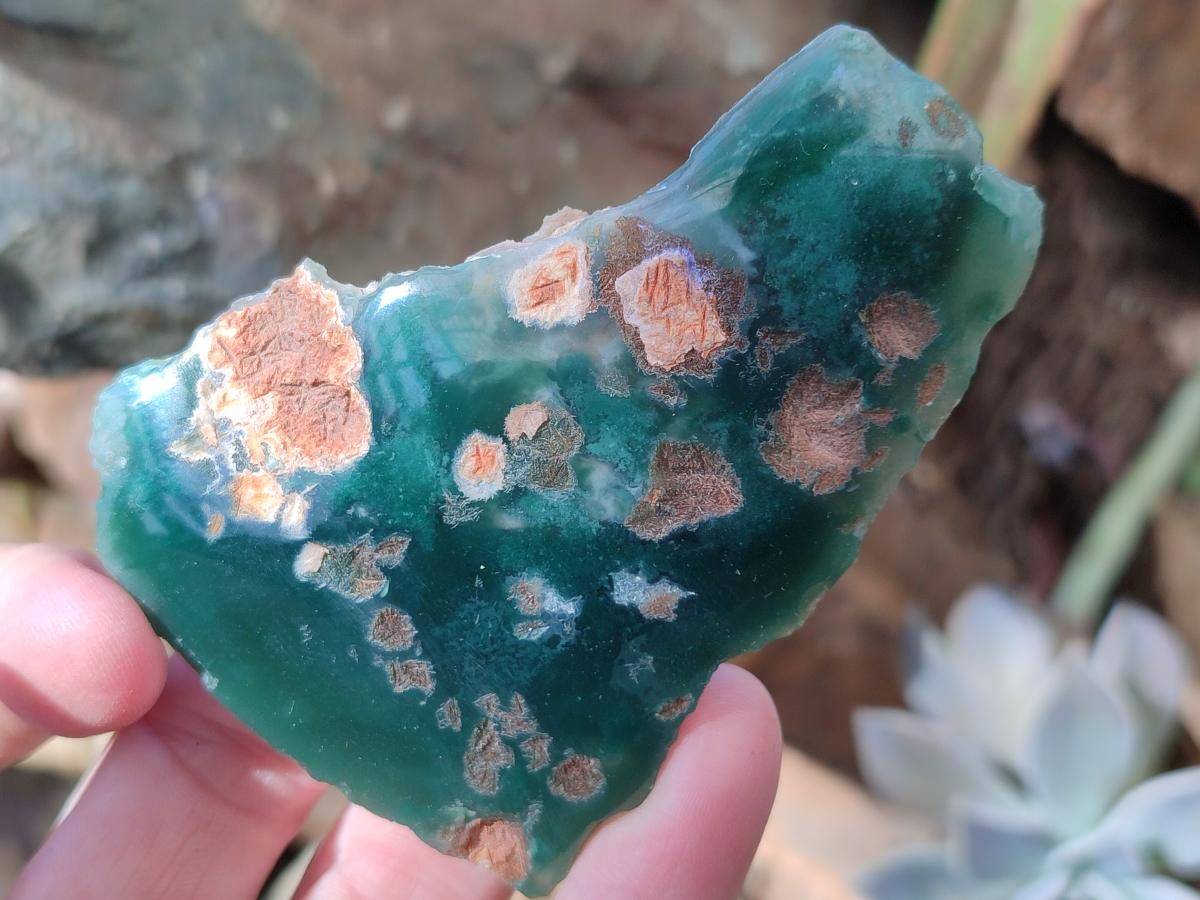 Polished One Side Mtorolite Chrysoprase Slices x 24 From Mutorashanga, Zimbabwe - Toprock Gemstones and Minerals 