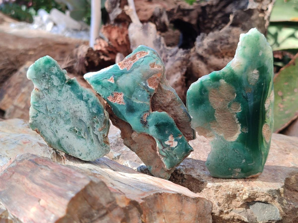 Polished One Side Mtorolite Chrysoprase Slices x 24 From Mutorashanga, Zimbabwe - Toprock Gemstones and Minerals 
