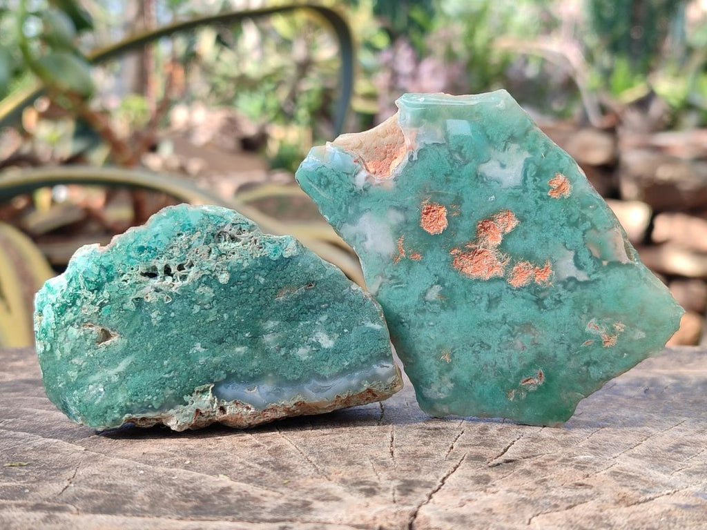 Polished One Side Mtorolite Chrysoprase Slices x 24 From Mutorashanga, Zimbabwe - Toprock Gemstones and Minerals 