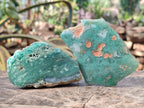 Polished One Side Mtorolite Chrysoprase Slices x 24 From Mutorashanga, Zimbabwe - Toprock Gemstones and Minerals 