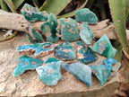 Polished One Side Mtorolite Chrysoprase Slices x 24 From Mutorashanga, Zimbabwe - Toprock Gemstones and Minerals 