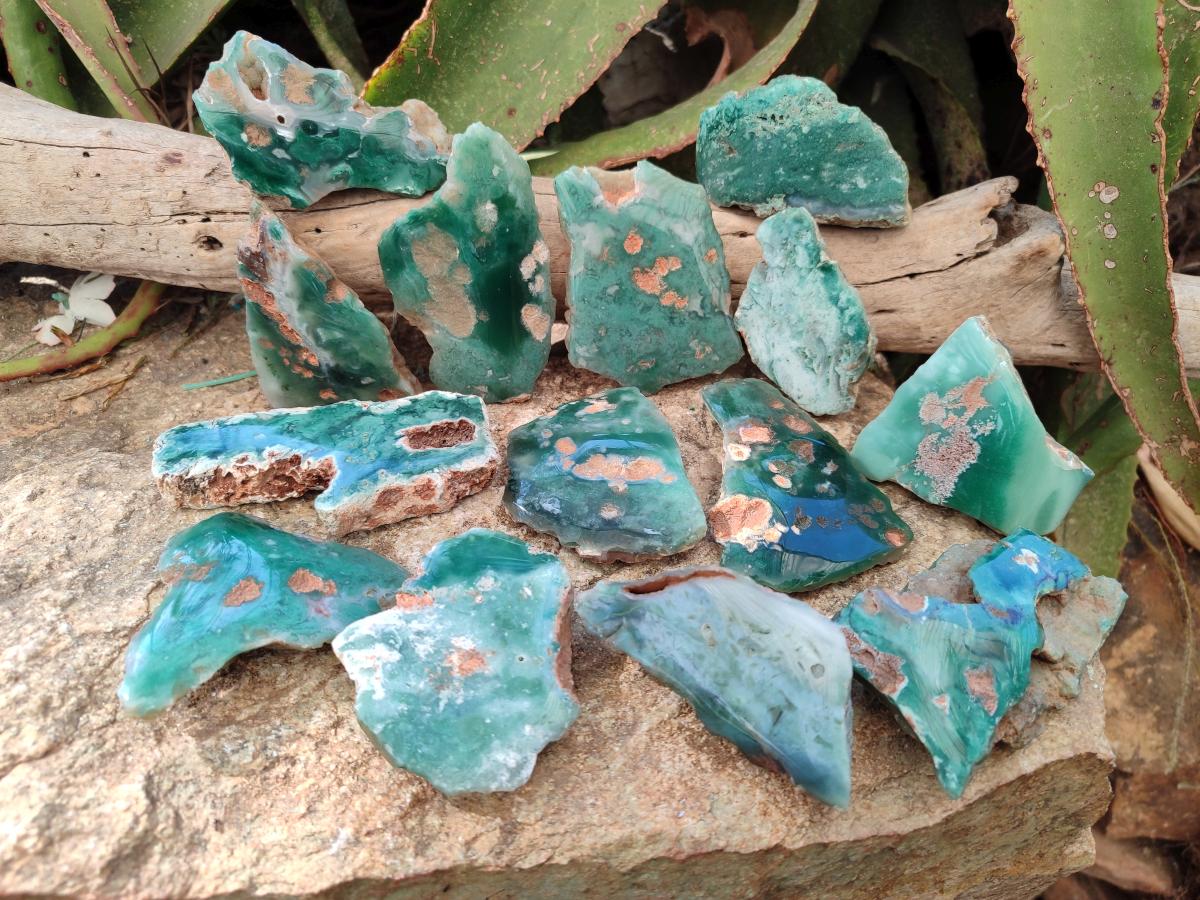 Polished One Side Mtorolite Chrysoprase Slices x 24 From Mutorashanga, Zimbabwe - Toprock Gemstones and Minerals 
