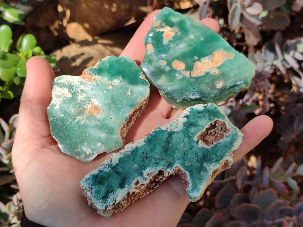 Polished One Side Mtorolite Chrysoprase Slices x 24 From Mutorashanga, Zimbabwe - Toprock Gemstones and Minerals 