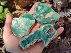 Polished One Side Mtorolite Chrysoprase Slices x 24 From Mutorashanga, Zimbabwe - Toprock Gemstones and Minerals 