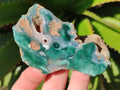 Polished One Side Mtorolite Chrysoprase Slices x 24 From Mutorashanga, Zimbabwe - Toprock Gemstones and Minerals 