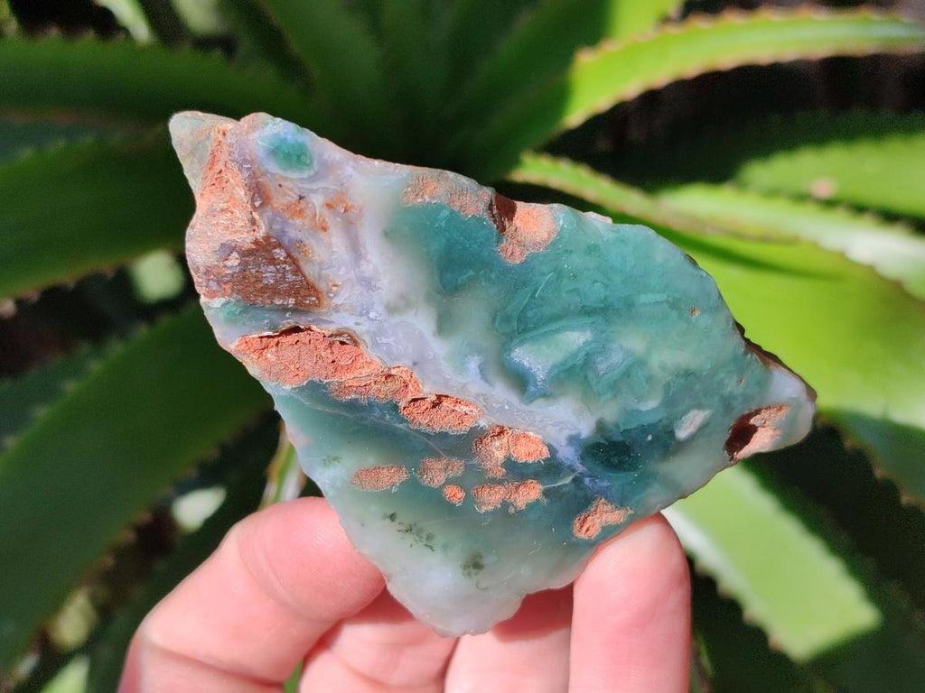 Polished One Side Mtorolite Chrysoprase Slices x 24 From Mutorashanga, Zimbabwe - Toprock Gemstones and Minerals 