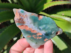 Polished One Side Mtorolite Chrysoprase Slices x 24 From Mutorashanga, Zimbabwe - Toprock Gemstones and Minerals 