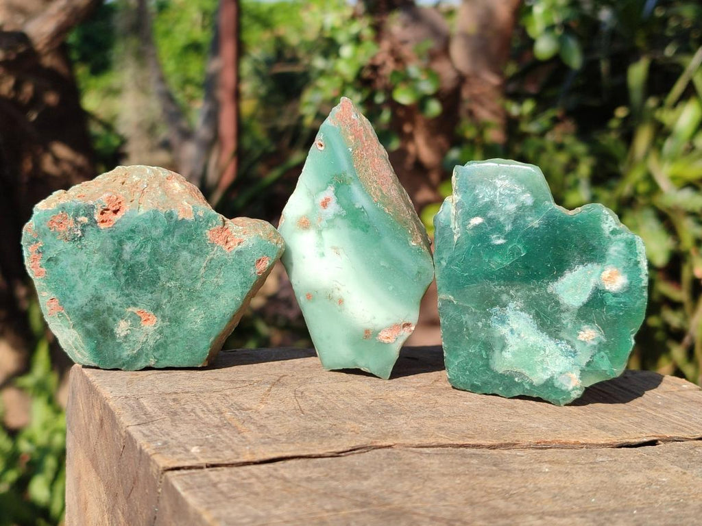 Polished One Side Mtorolite Chrysoprase Slices x 24 From Mutorashanga, Zimbabwe - Toprock Gemstones and Minerals 