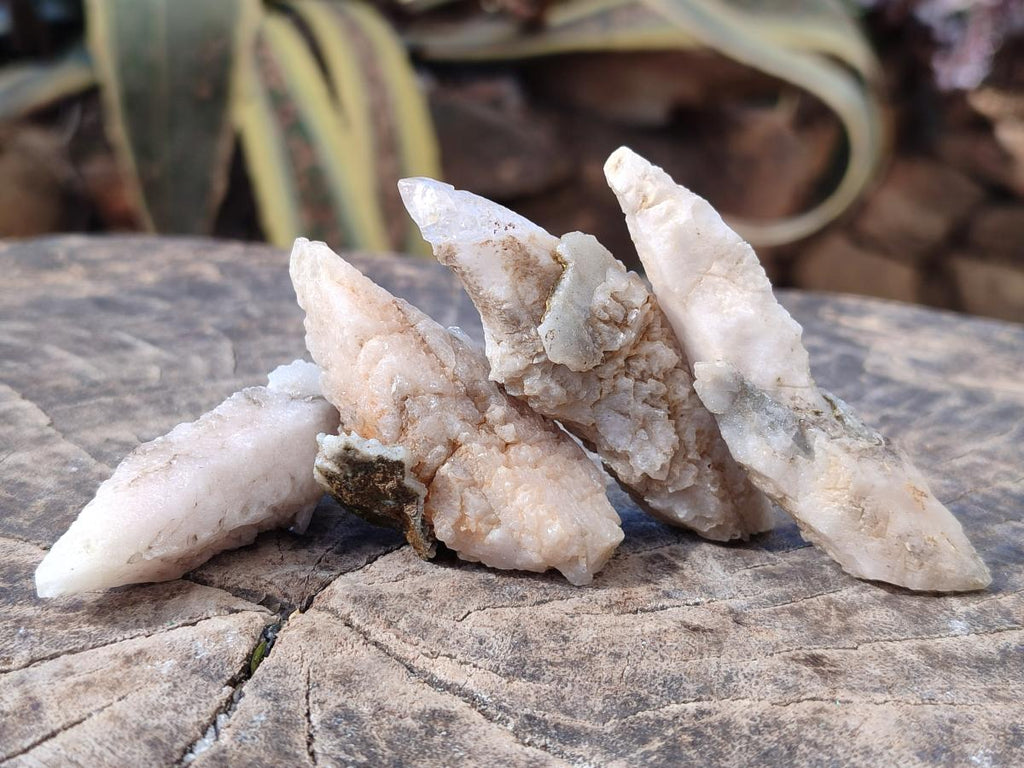 Natural Drusy Quartz Coated "Cock Spur" Calcite Crystals x 60 From Albert's Mountain, Lesotho - Toprock Gemstones and Minerals 