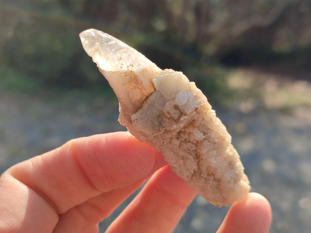 Natural Drusy Quartz Coated "Cock Spur" Calcite Crystals x 60 From Albert's Mountain, Lesotho - Toprock Gemstones and Minerals 