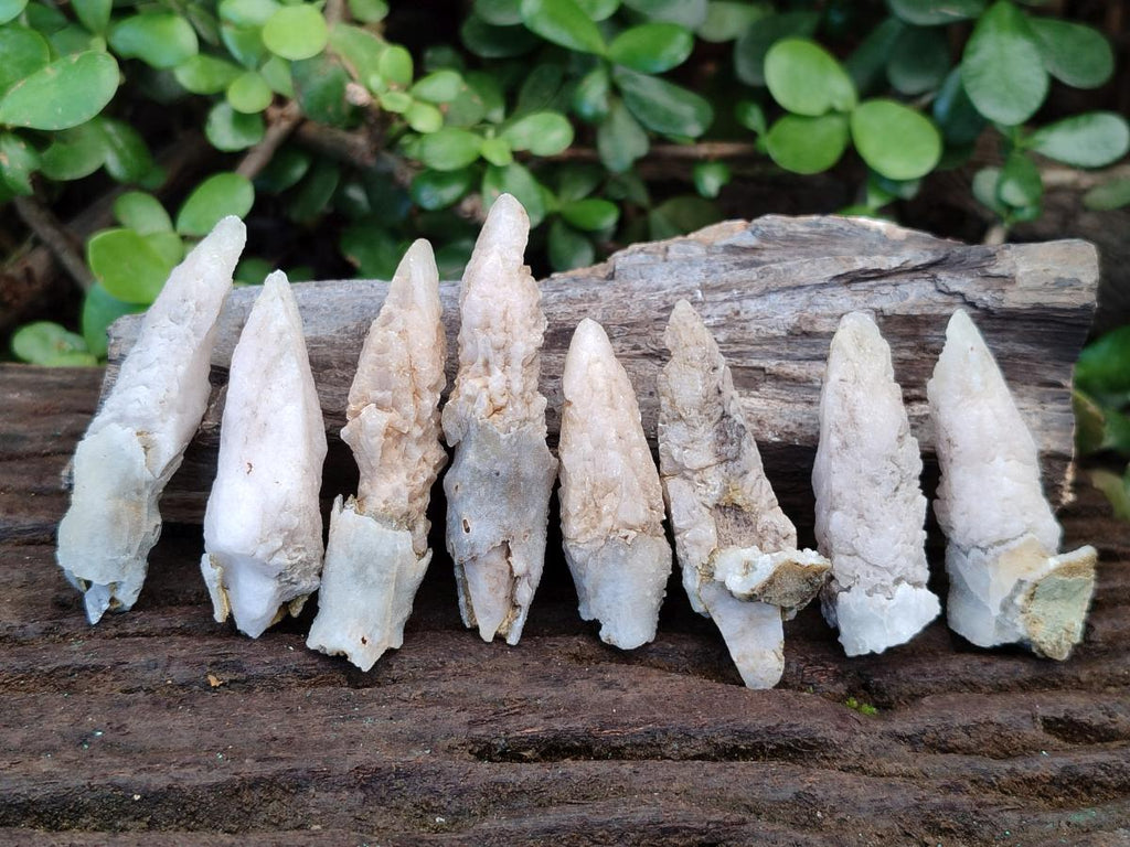 Natural Drusy Quartz Coated "Cock Spur" Calcite Crystals x 60 From Albert's Mountain, Lesotho - Toprock Gemstones and Minerals 
