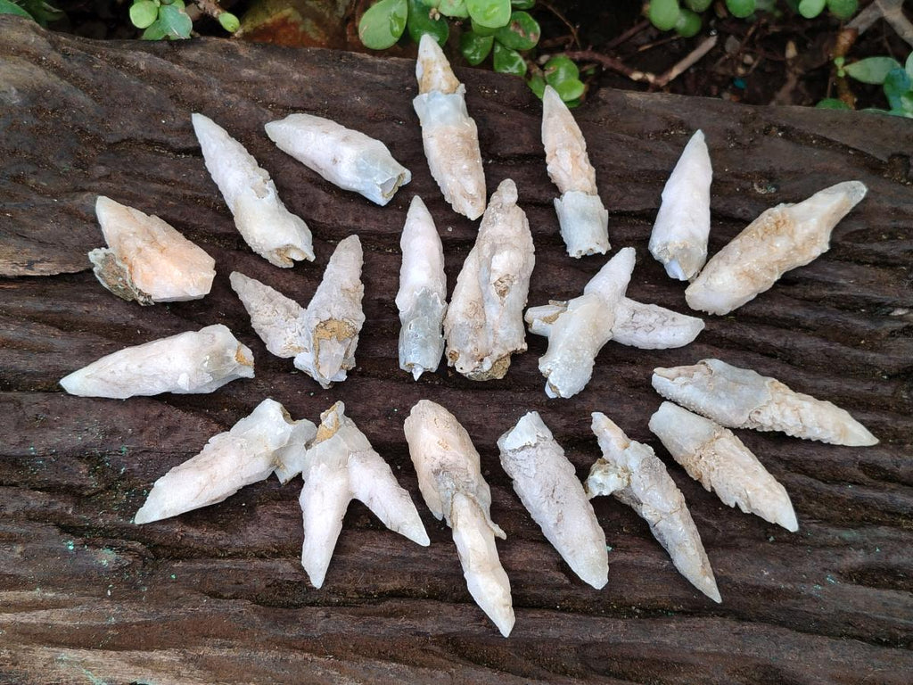 Natural Drusy Quartz Coated "Cock Spur" Calcite Crystals x 60 From Albert's Mountain, Lesotho - Toprock Gemstones and Minerals 