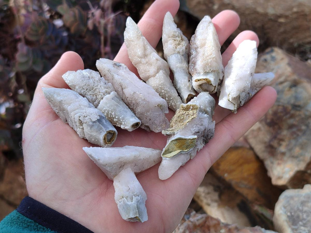 Natural Drusy Quartz Coated "Cock Spur" Calcite Crystals x 60 From Albert's Mountain, Lesotho - Toprock Gemstones and Minerals 