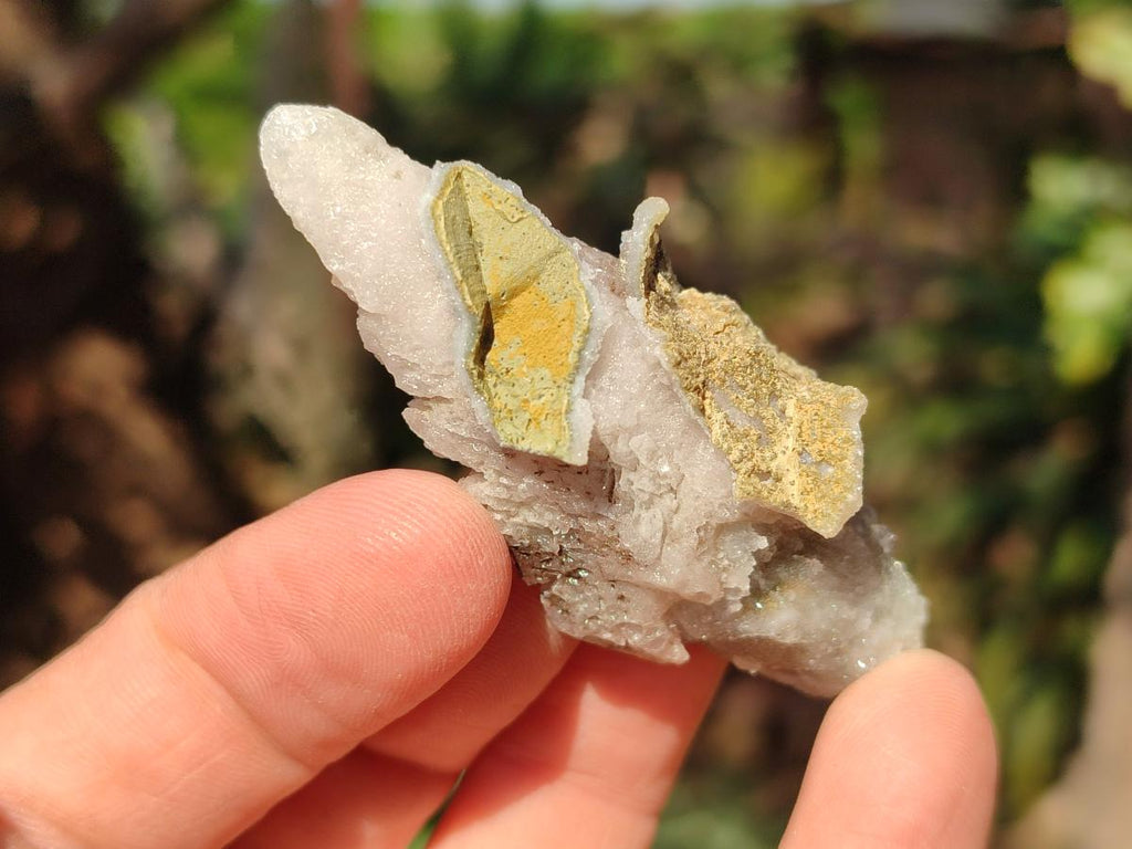 Natural Drusy Quartz Coated "Cock Spur" Calcite Crystals x 60 From Albert's Mountain, Lesotho - Toprock Gemstones and Minerals 