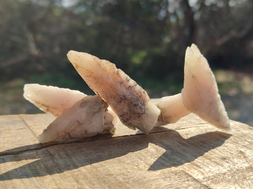 Natural Drusy Quartz Coated "Cock Spur" Calcite Crystals x 60 From Albert's Mountain, Lesotho - Toprock Gemstones and Minerals 