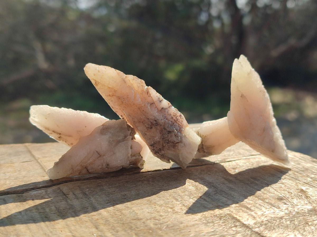 Natural Drusy Quartz Coated "Cock Spur" Calcite Crystals x 60 From Albert's Mountain, Lesotho - Toprock Gemstones and Minerals 