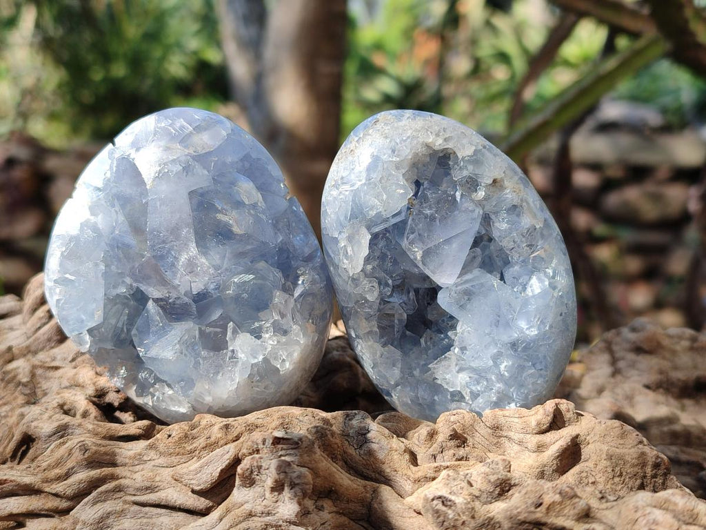 Polished and Natural Blue Celestite Palm Size Geodes x 12 From Sakoany, Madagascar - Toprock Gemstones and Minerals 