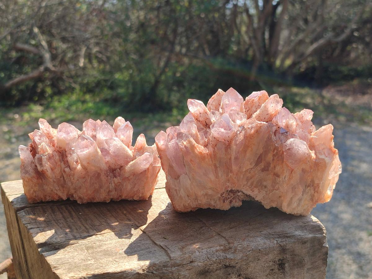 Natural Sugar Amethyst Clusters x 4 From Zambia - Toprock Gemstones and Minerals 
