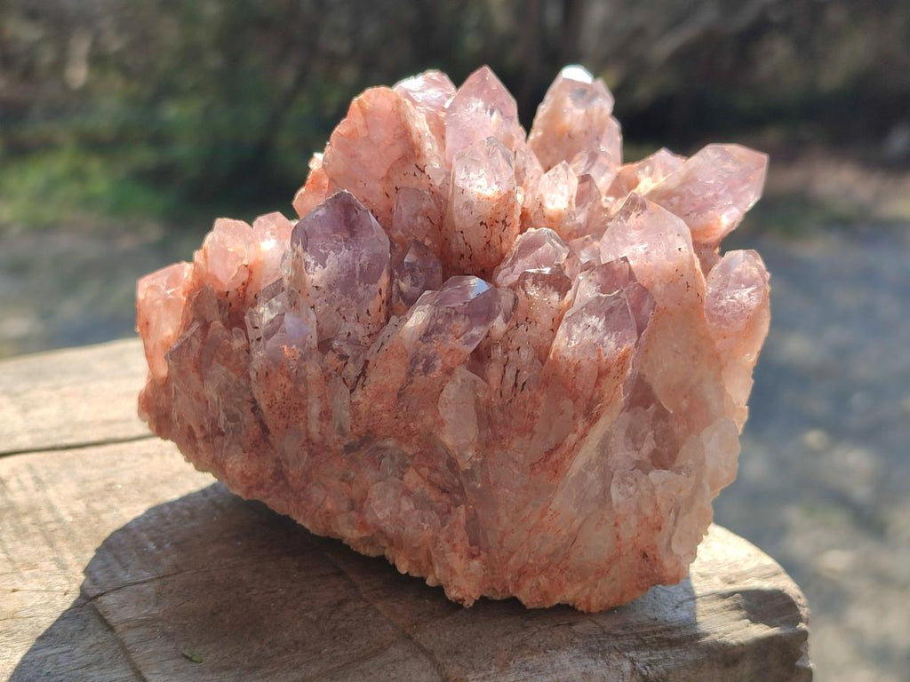 Natural Sugar Amethyst Clusters x 4 From Zambia - Toprock Gemstones and Minerals 