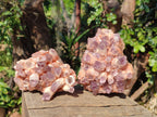 Natural Sugar Amethyst Clusters x 4 From Zambia - Toprock Gemstones and Minerals 
