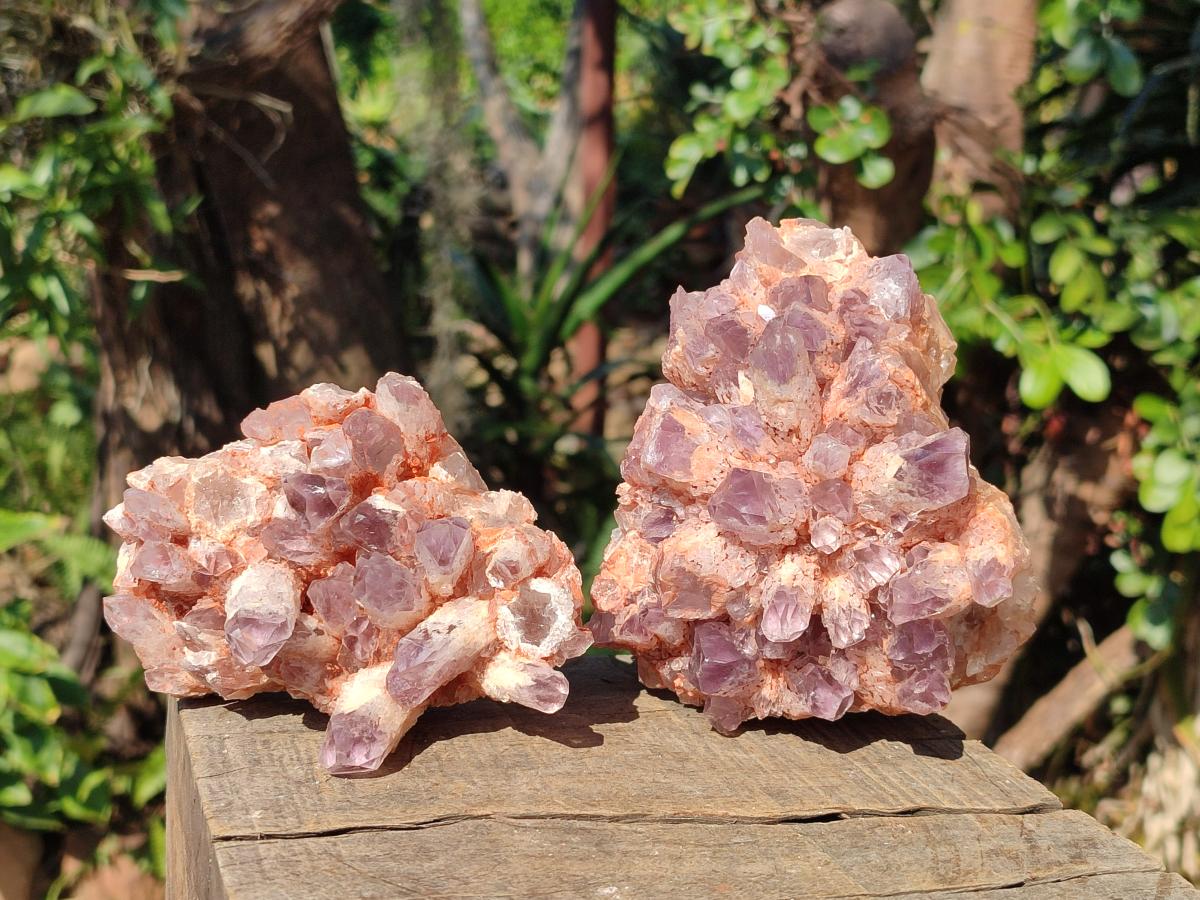 Natural Sugar Amethyst Clusters x 4 From Zambia - Toprock Gemstones and Minerals 