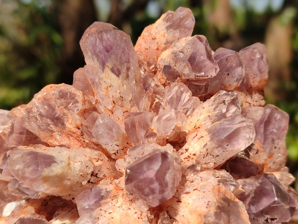 Natural Sugar Amethyst Clusters x 4 From Zambia - Toprock Gemstones and Minerals 