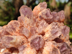 Natural Sugar Amethyst Clusters x 4 From Zambia - Toprock Gemstones and Minerals 