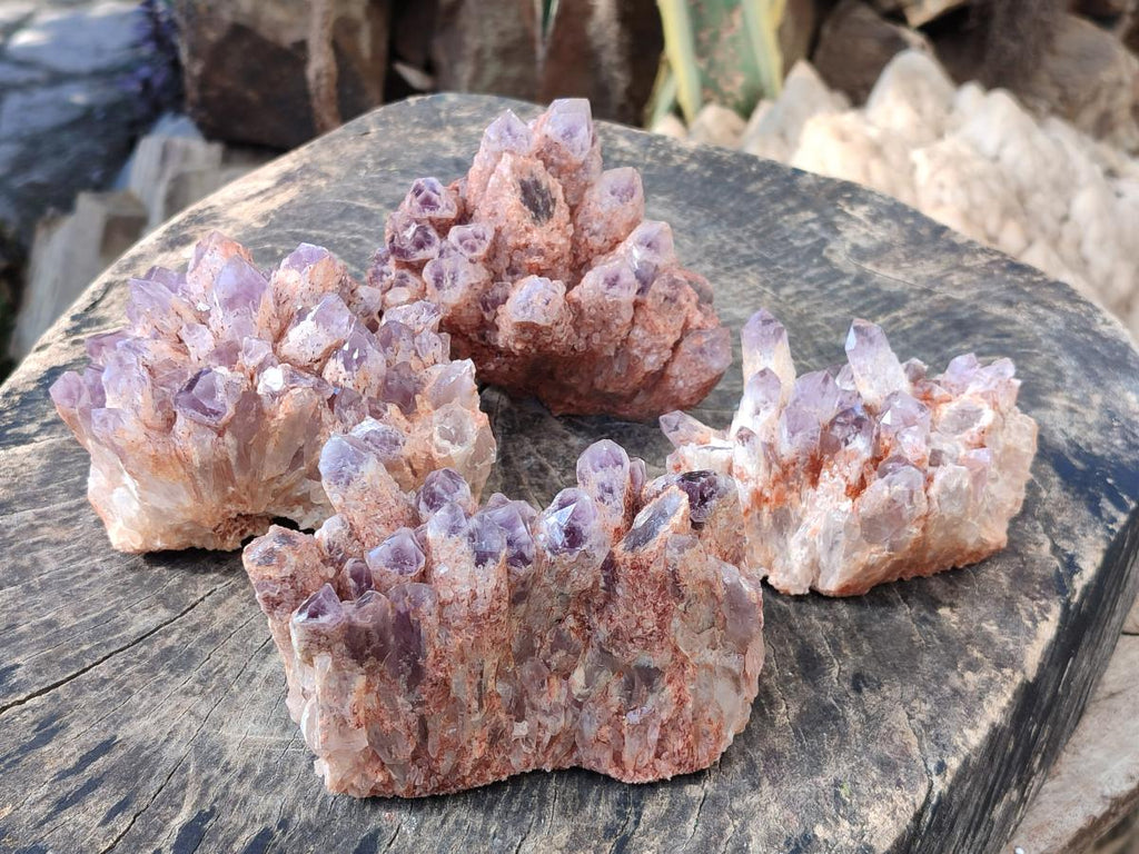 Natural Sugar Amethyst Clusters x 4 From Zambia - Toprock Gemstones and Minerals 