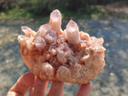 Natural Sugar Amethyst Clusters x 4 From Zambia - Toprock Gemstones and Minerals 