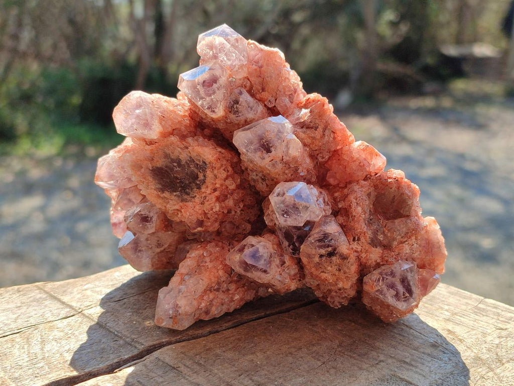 Natural Sugar Amethyst Clusters x 4 From Zambia - Toprock Gemstones and Minerals 