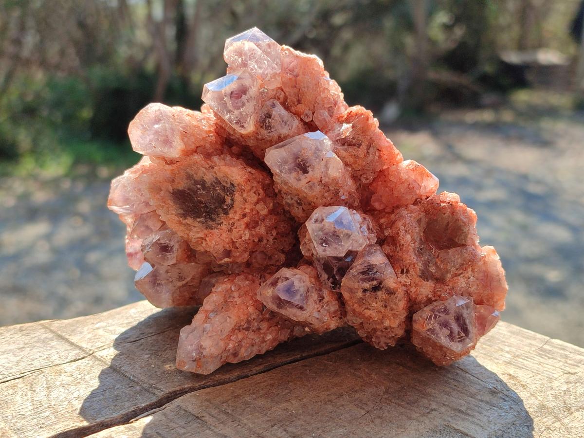 Natural Sugar Amethyst Clusters x 4 From Zambia - Toprock Gemstones and Minerals 