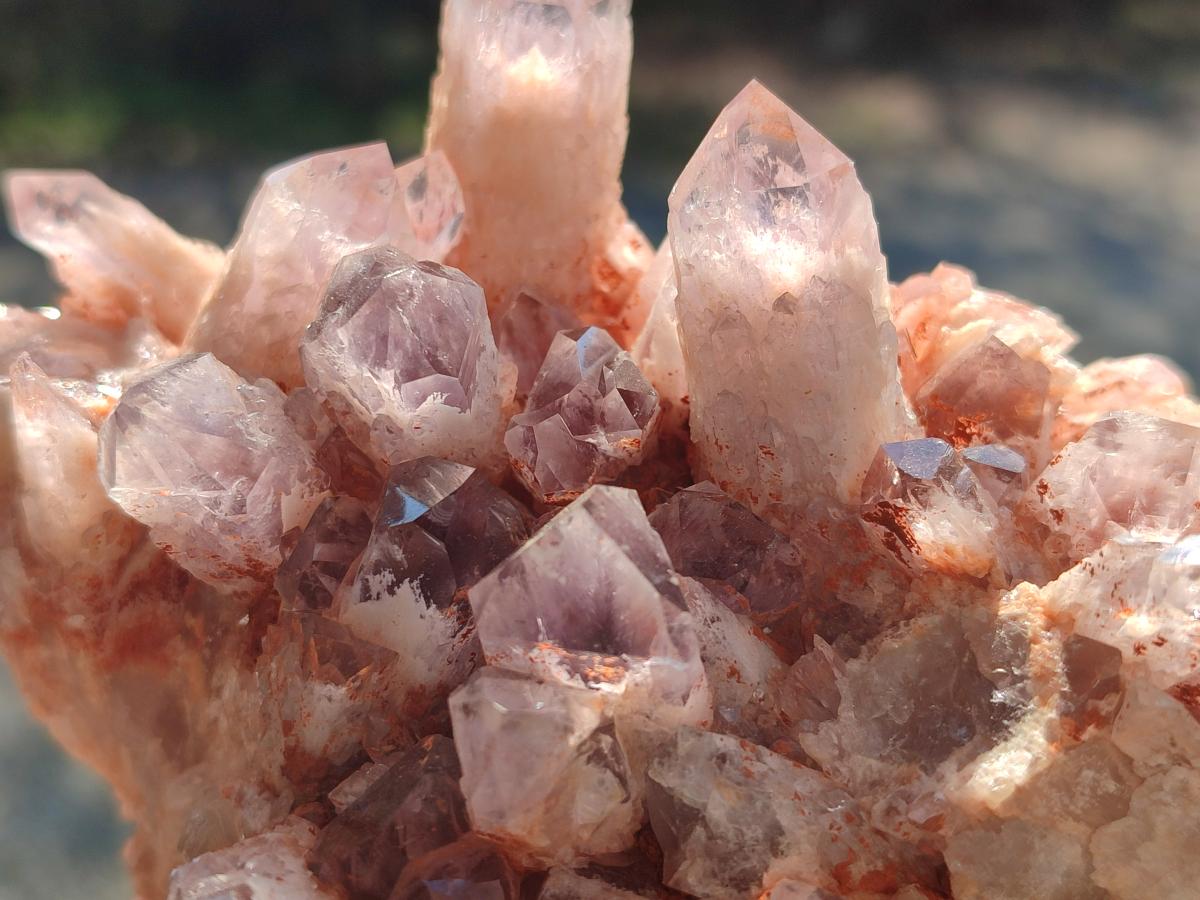 Natural Sugar Amethyst Clusters x 4 From Zambia - Toprock Gemstones and Minerals 