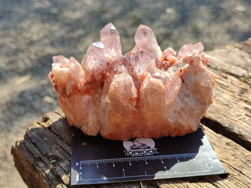 Natural Sugar Amethyst Clusters x 4 From Zambia - Toprock Gemstones and Minerals 
