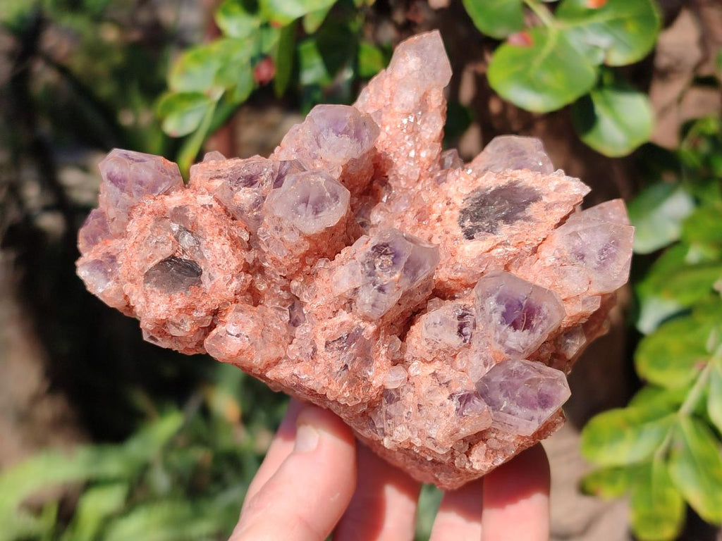 Natural Sugar Amethyst Clusters x 4 From Zambia - Toprock Gemstones and Minerals 
