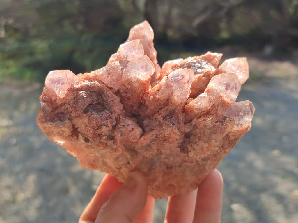 Natural Sugar Amethyst Clusters x 4 From Zambia - Toprock Gemstones and Minerals 