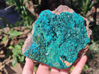 Natural Large Cabinet Size Dioptase on Dolomite Specimen with Malachite x 1 From Likasi, Congo - Toprock Gemstones and Minerals 