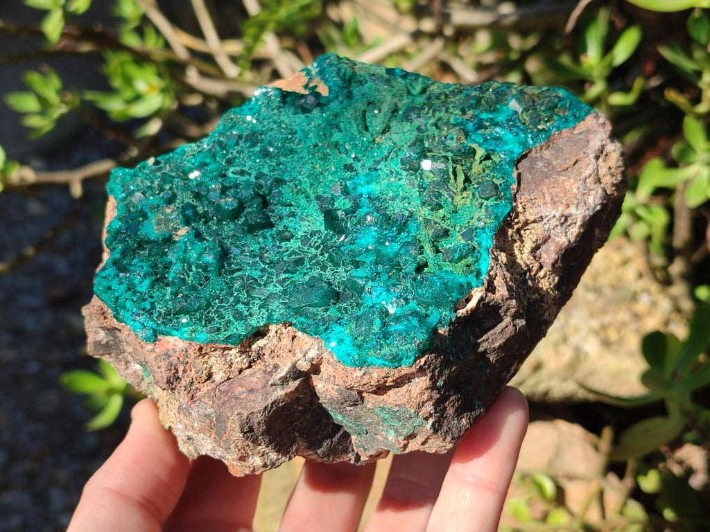 Natural Large Cabinet Size Dioptase on Dolomite Specimen with Malachite x 1 From Likasi, Congo - Toprock Gemstones and Minerals 