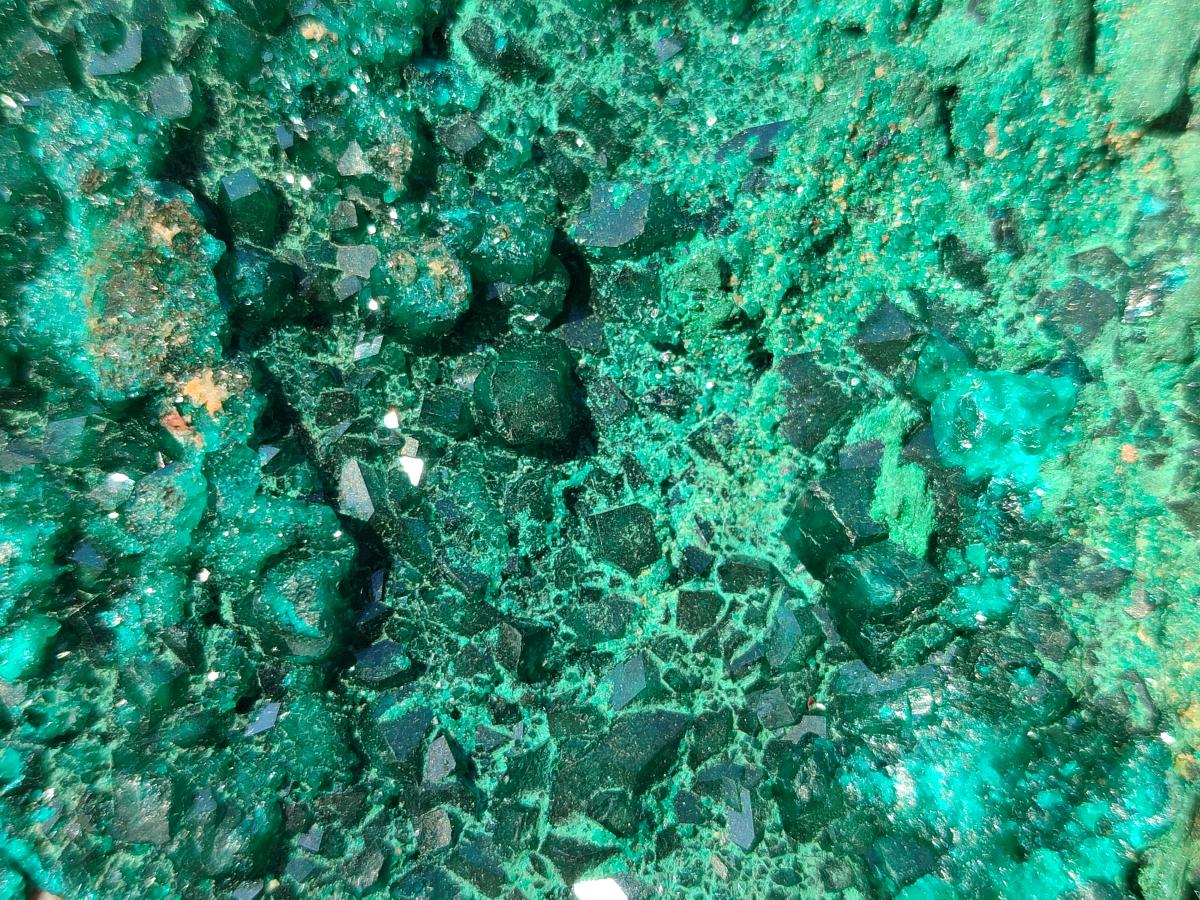 Natural Large Cabinet Size Dioptase on Dolomite Specimen with Malachite x 1 From Likasi, Congo - Toprock Gemstones and Minerals 