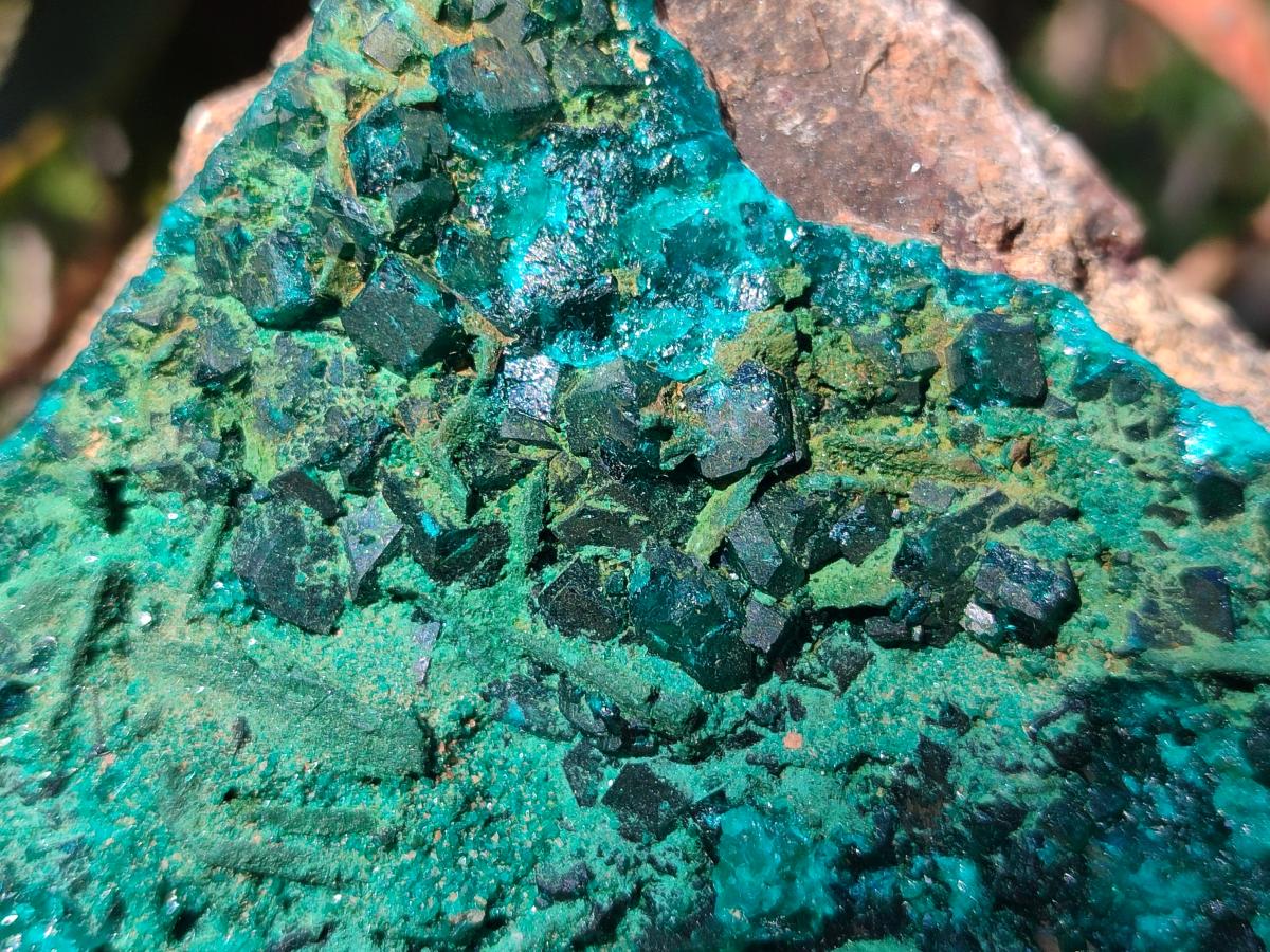 Natural Large Cabinet Size Dioptase on Dolomite Specimen with Malachite x 1 From Likasi, Congo - Toprock Gemstones and Minerals 