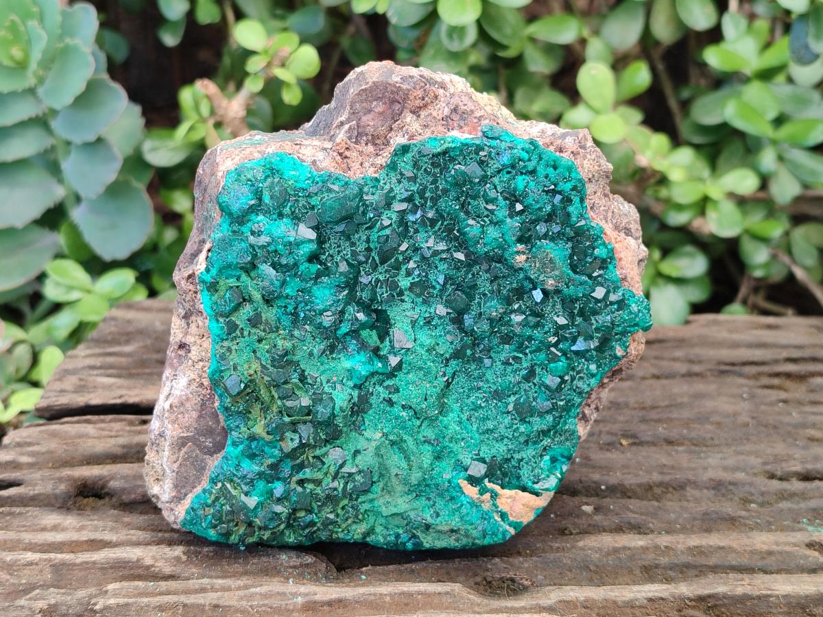 Natural Large Cabinet Size Dioptase on Dolomite Specimen with Malachite x 1 From Likasi, Congo - Toprock Gemstones and Minerals 