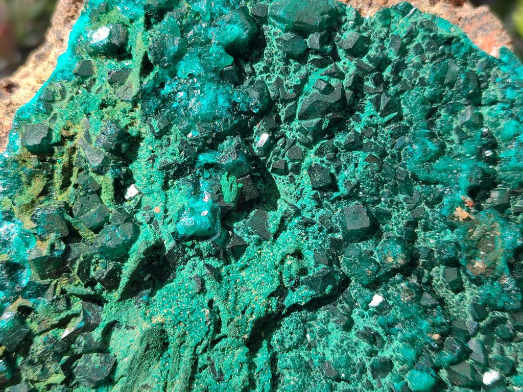 Natural Large Cabinet Size Dioptase on Dolomite Specimen with Malachite x 1 From Likasi, Congo - Toprock Gemstones and Minerals 
