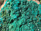 Natural Large Cabinet Size Dioptase on Dolomite Specimen with Malachite x 1 From Likasi, Congo - Toprock Gemstones and Minerals 