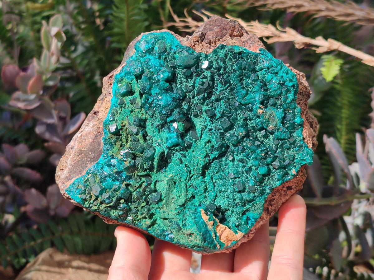 Natural Large Cabinet Size Dioptase on Dolomite Specimen with Malachite x 1 From Likasi, Congo - Toprock Gemstones and Minerals 