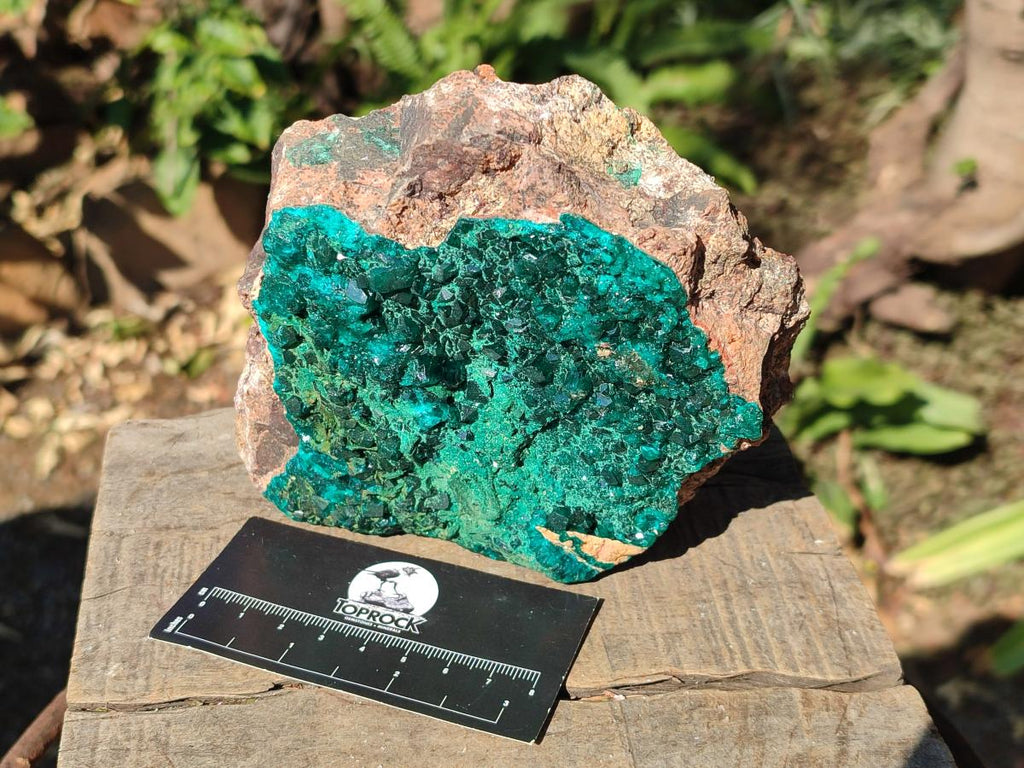 Natural Large Cabinet Size Dioptase on Dolomite Specimen with Malachite x 1 From Likasi, Congo - Toprock Gemstones and Minerals 