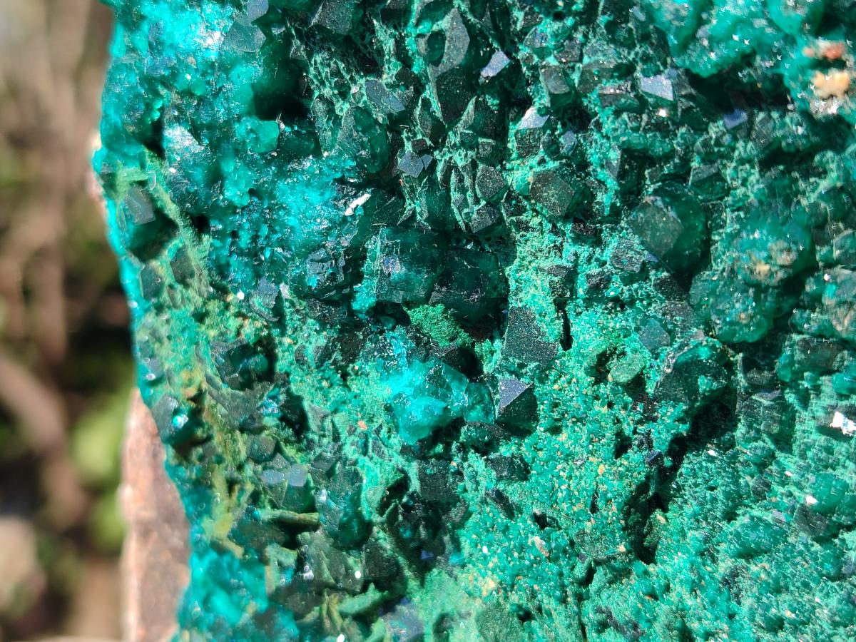 Natural Large Cabinet Size Dioptase on Dolomite Specimen with Malachite x 1 From Likasi, Congo - Toprock Gemstones and Minerals 