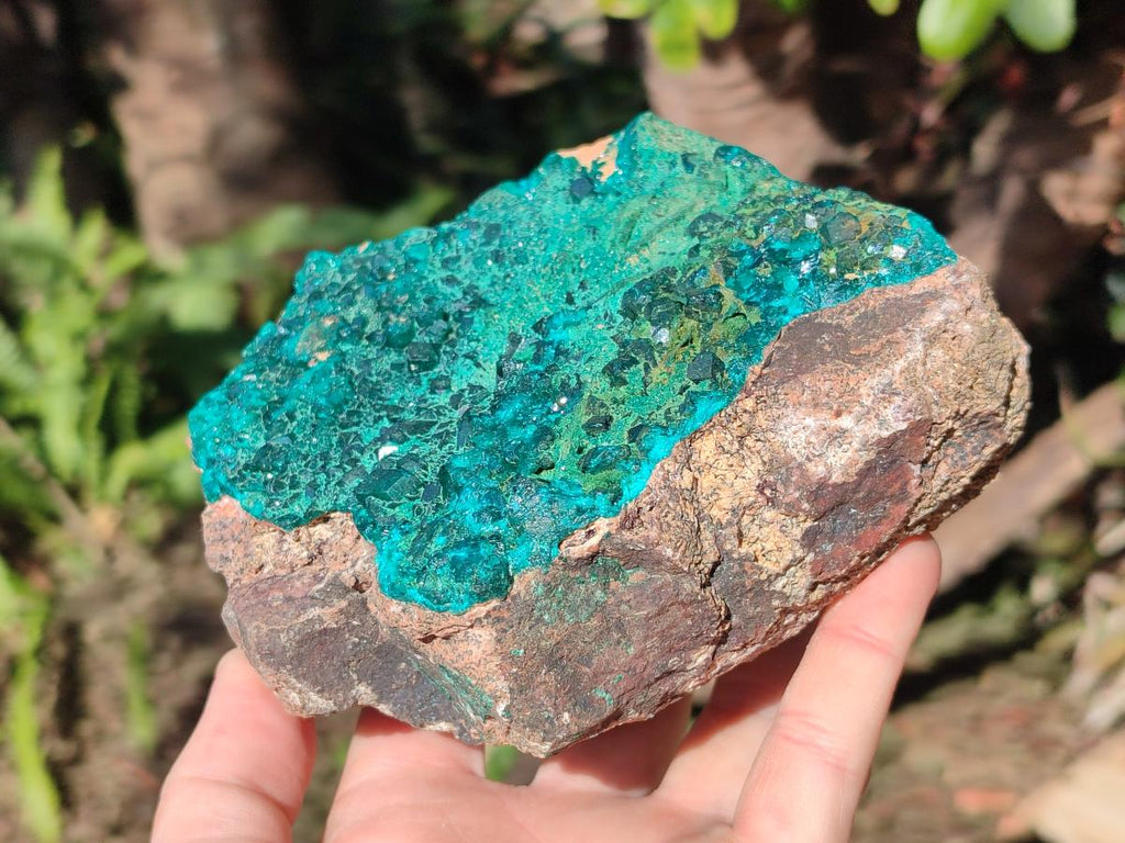 Natural Large Cabinet Size Dioptase on Dolomite Specimen with Malachite x 1 From Likasi, Congo - Toprock Gemstones and Minerals 