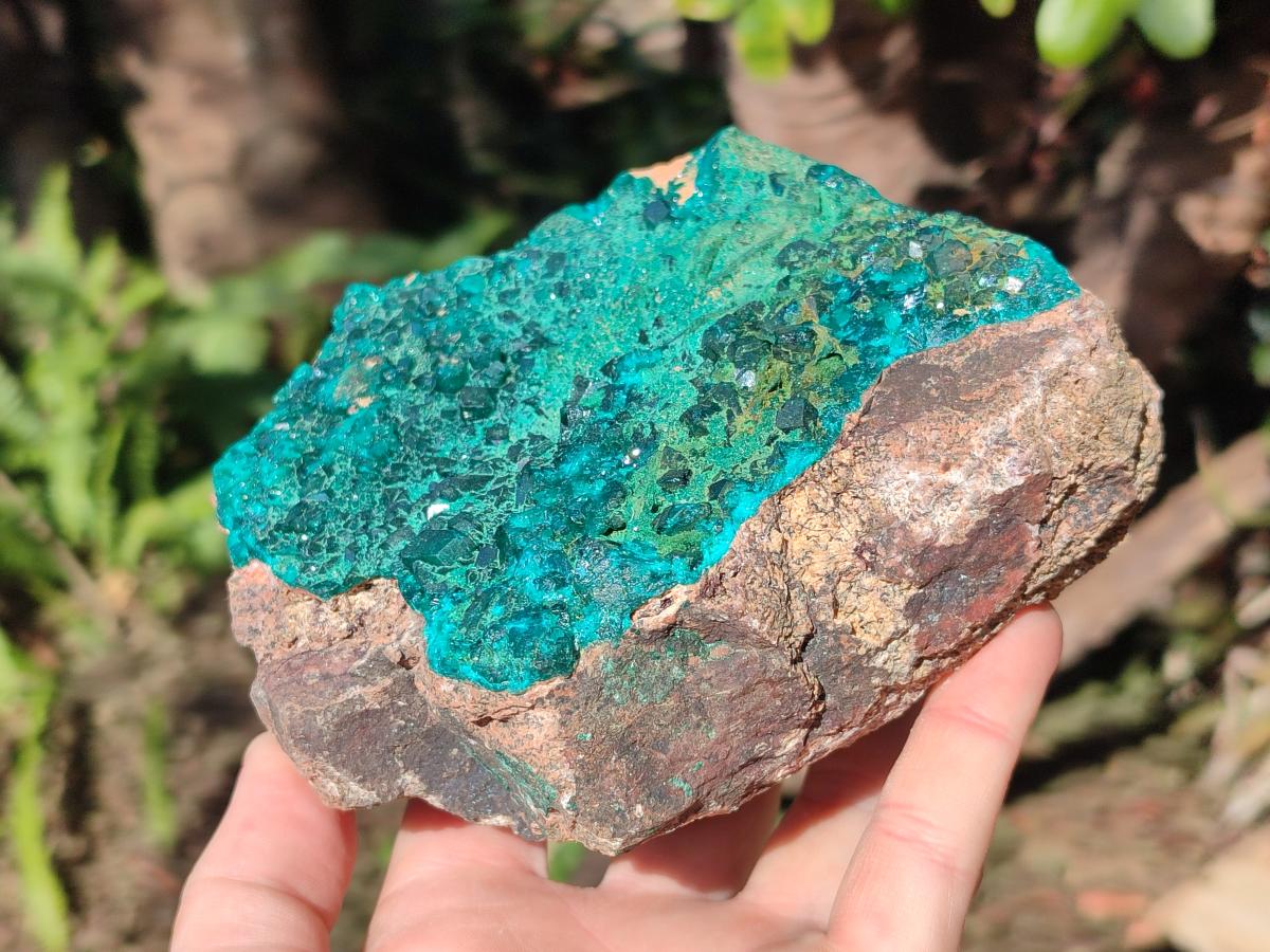 Natural Large Cabinet Size Dioptase on Dolomite Specimen with Malachite x 1 From Likasi, Congo - Toprock Gemstones and Minerals 