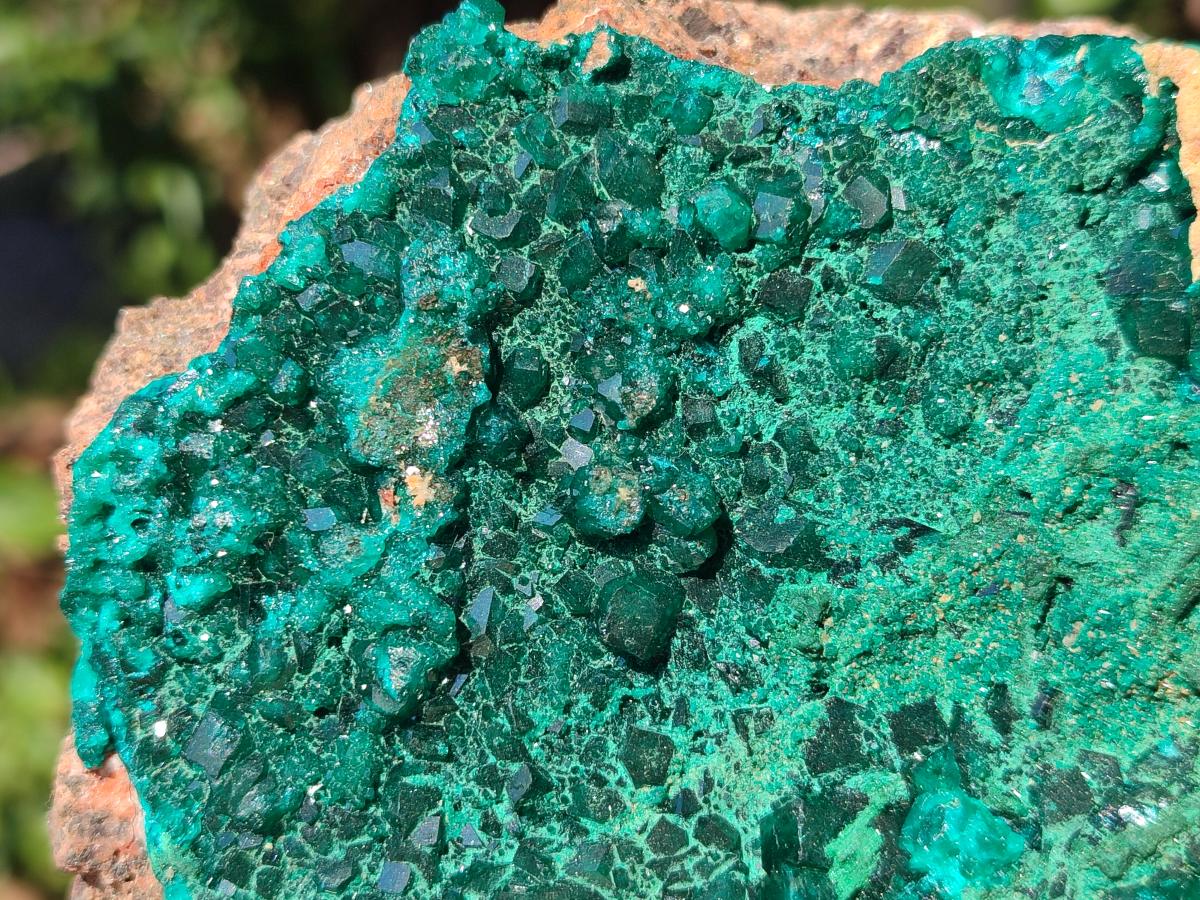 Natural Large Cabinet Size Dioptase on Dolomite Specimen with Malachite x 1 From Likasi, Congo - Toprock Gemstones and Minerals 