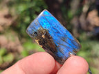 Hand Made Labradorite Necklaces x 12 From Madagascar - Toprock Gemstones and Minerals 