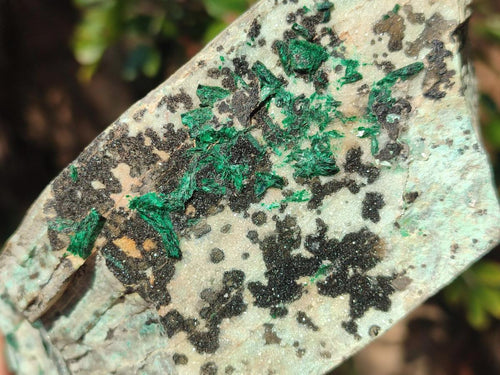 Natural Large Drusy Coated Chrysocolla Specimen with Dendrites and Malachite x 1 From Lupoto Mine, Congo - Toprock Gemstones and Minerals 